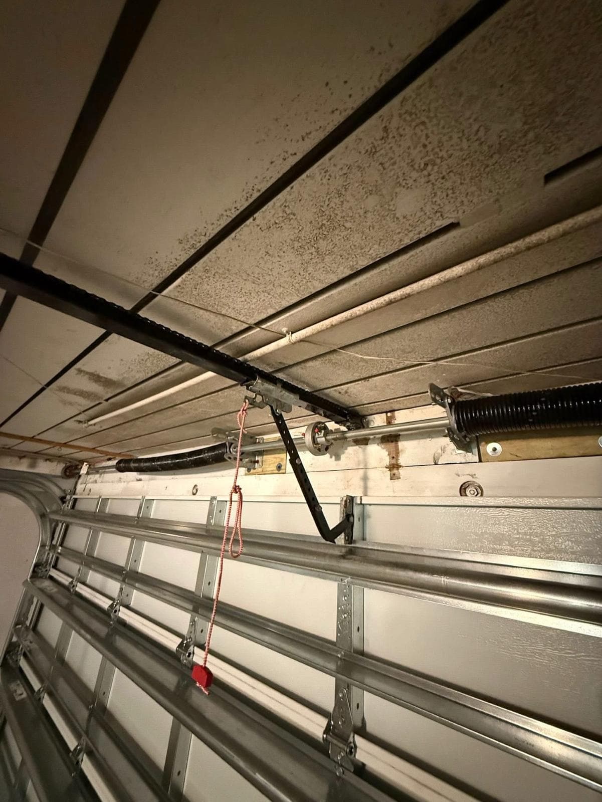 Garage door service in Buckingham, FL